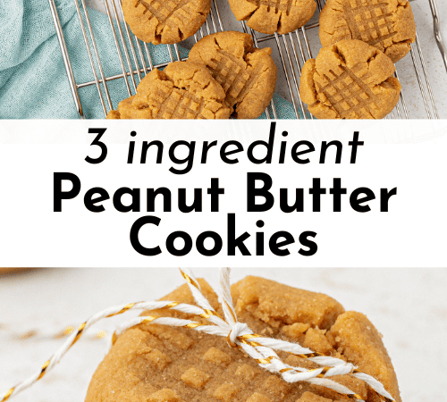 fast peanut butter cookies
