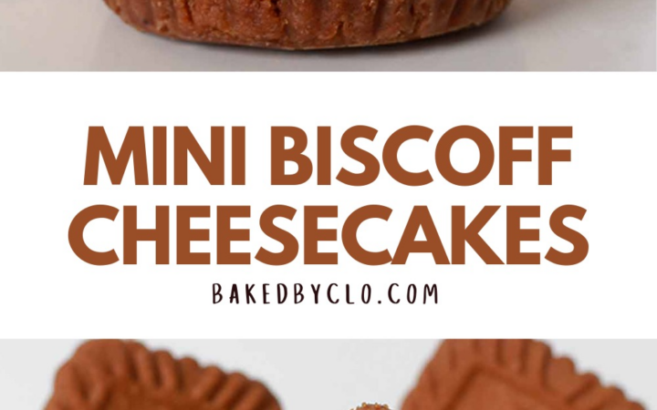 biscoff cheesecake bars