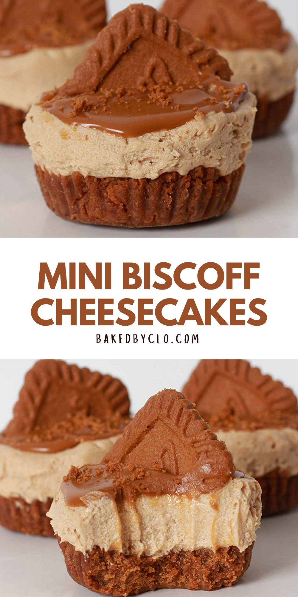 Biscoff Cheesecake Bars
