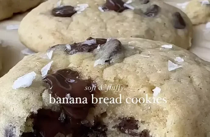 oatmeal chocolate chunk cookies recipe