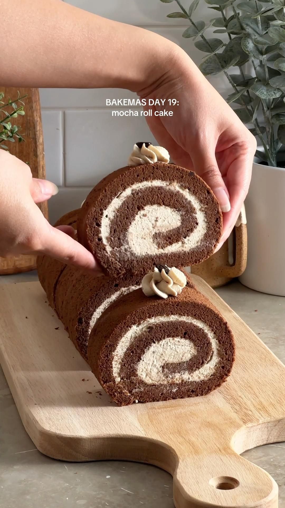 Chocolate Mousse Roll Cake