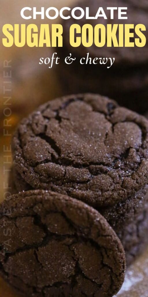 hershey chewy chocolate cookies