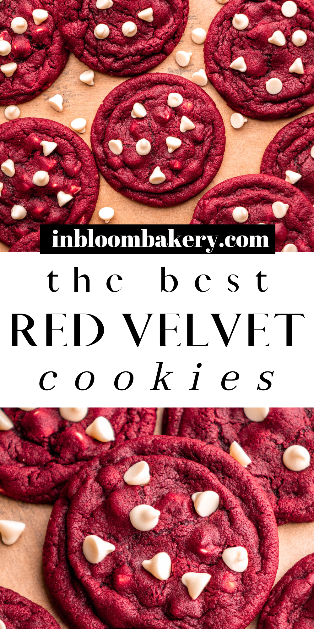 Biscotti Red Velvet