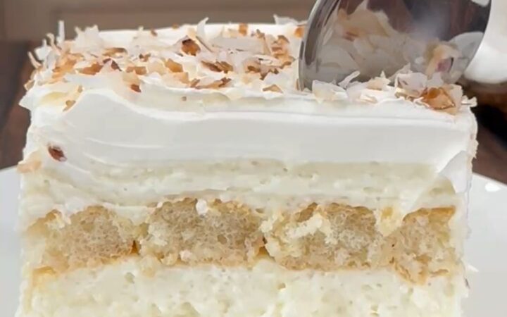 coconut milk dessert recipe