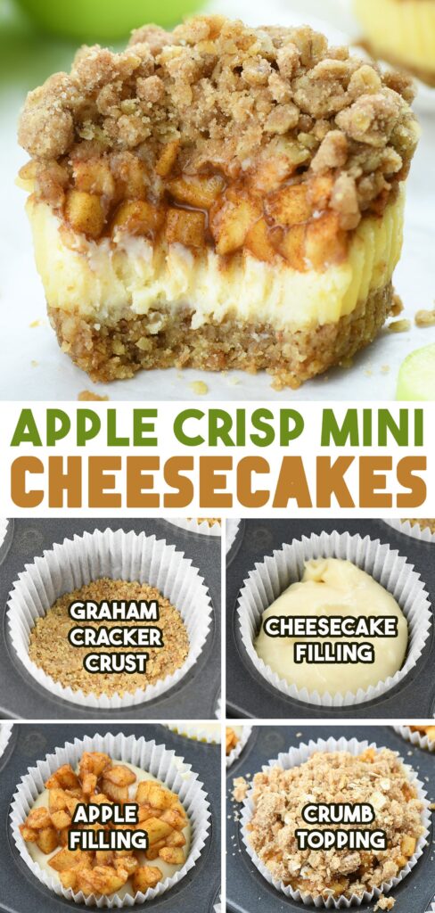 no bake dessert bites