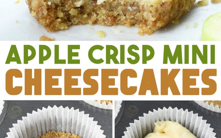 no bake dessert bites